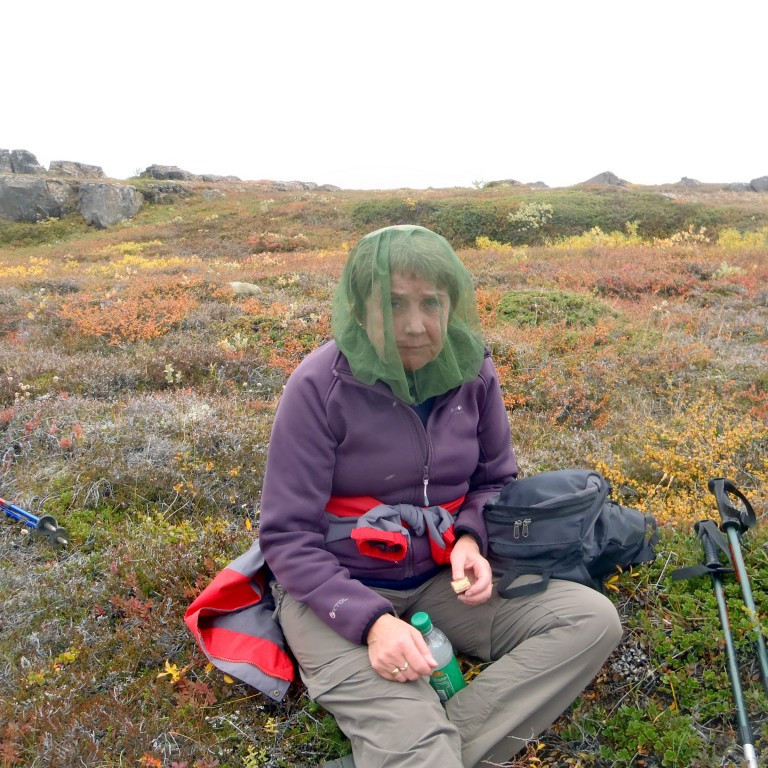 Friðbjörg Finnsdóttir. Mýið  var ekki alveg búið.