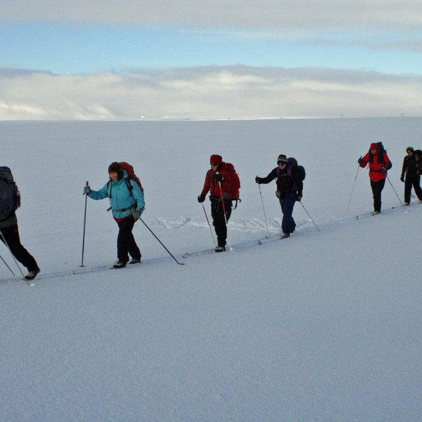 Á fullri ferð á skíðunum áleiðis í Fjallaborg.