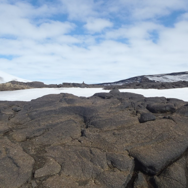 Varðmaður í skarðinu