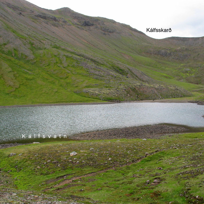 Kálfsvatn að sumarlagi