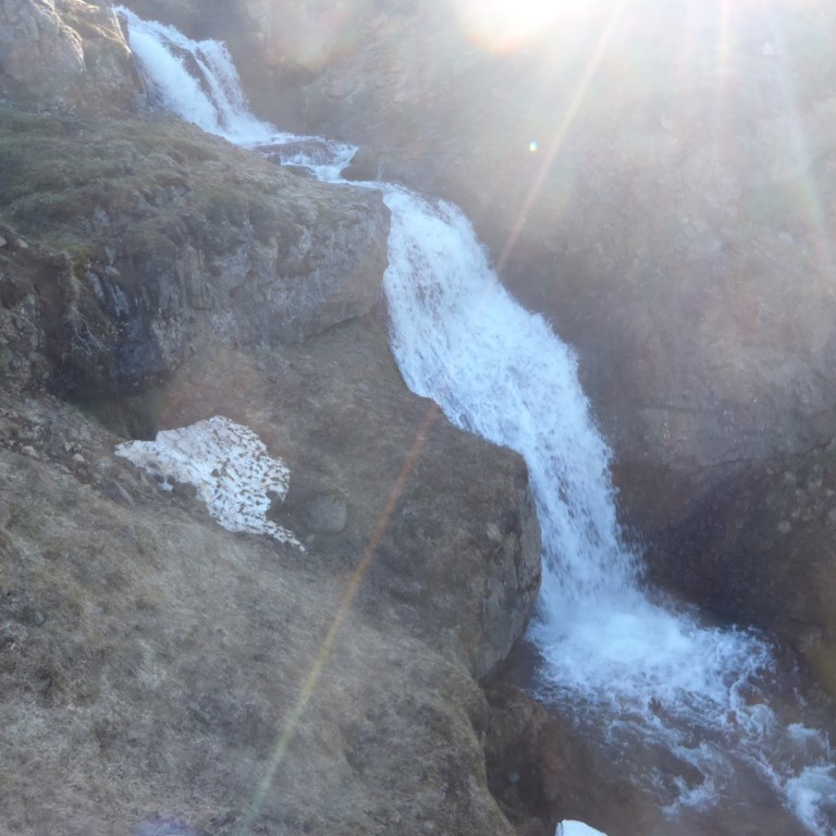 Erfitt var að taka myndir móti sólinni