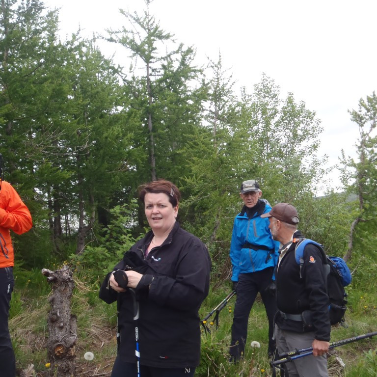 Fallegur skógarreitur