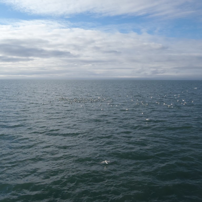 Gríðalegt líf þegar komið var út fyrir Hrólfsker.