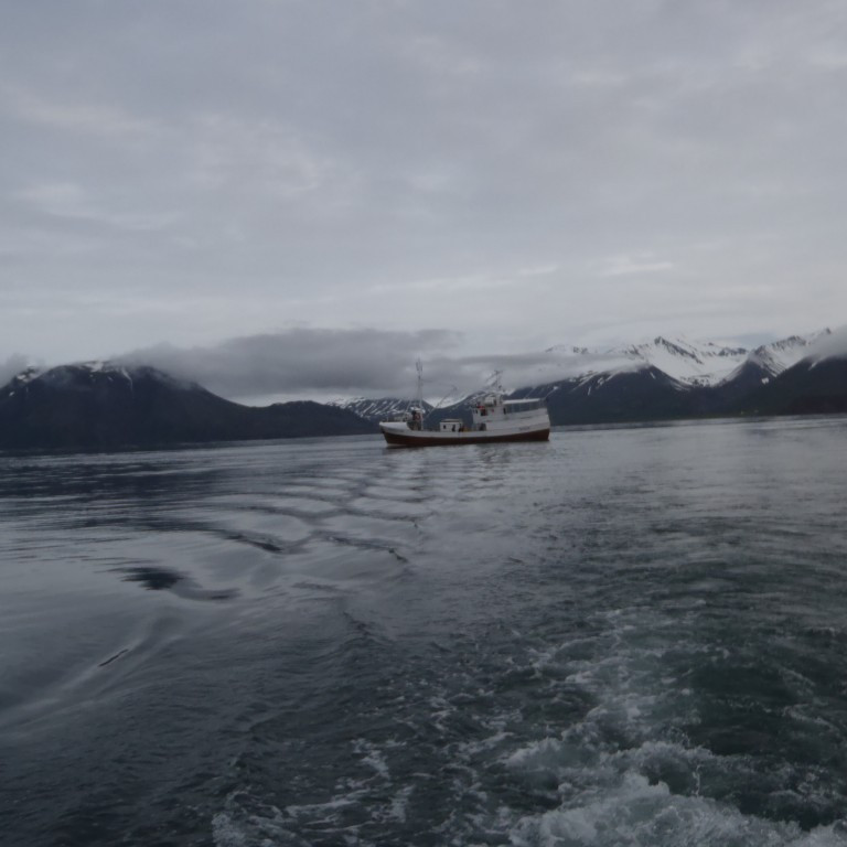 Húni býður okkar á ytrihöfninni í Flatey