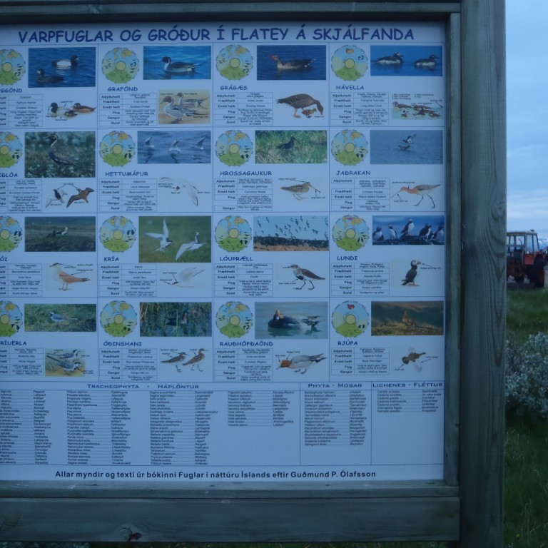 Fölskrúðugt fuglalíf er í Fatey