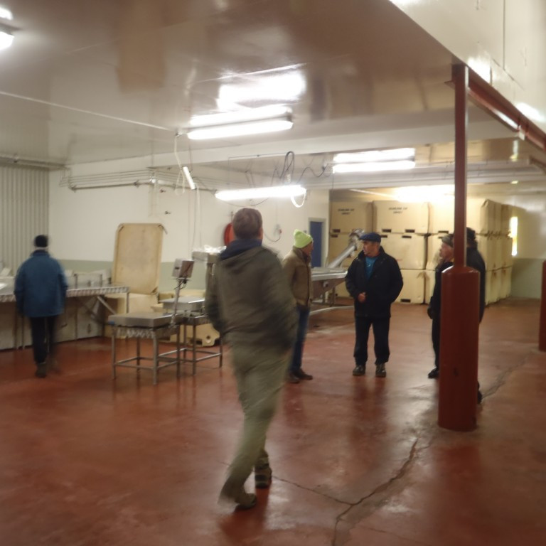 Fiskvinnsluhúsið skoðað