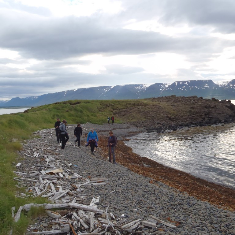 Ekki rákumst við á Mordýr.