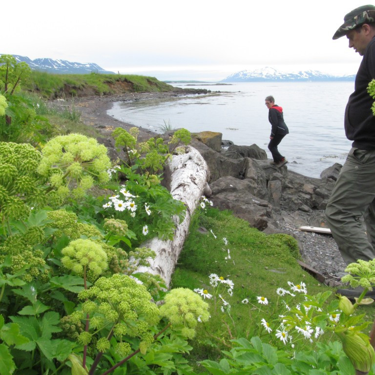 Drumbur frá Rússlandi?