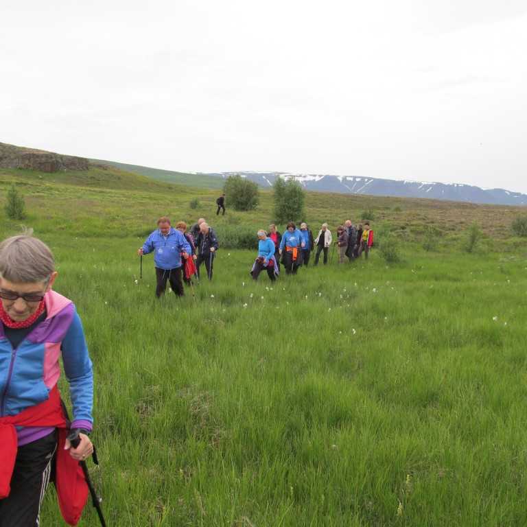 Þrammað yfir mýrina.