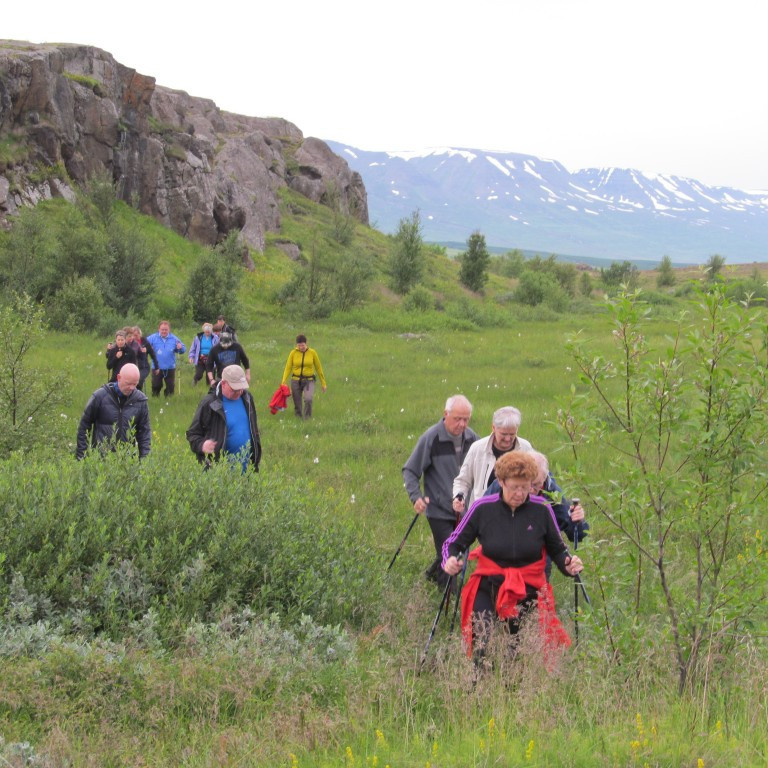 Mikill gróður í Krossanesborgum.