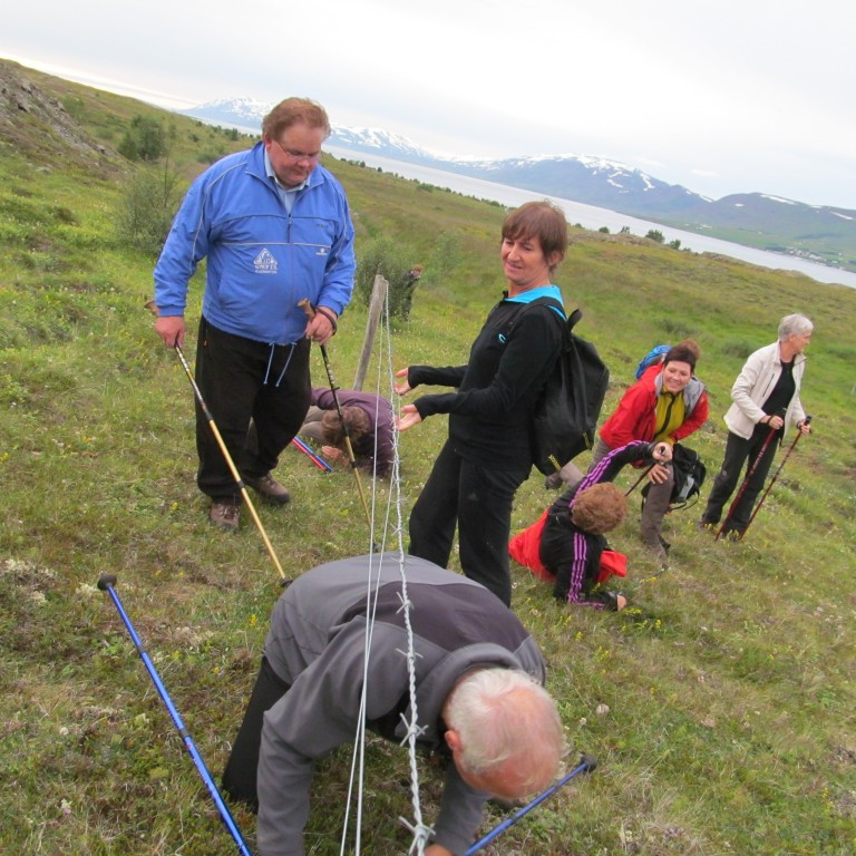 Rúllað sér undir girðinguna.