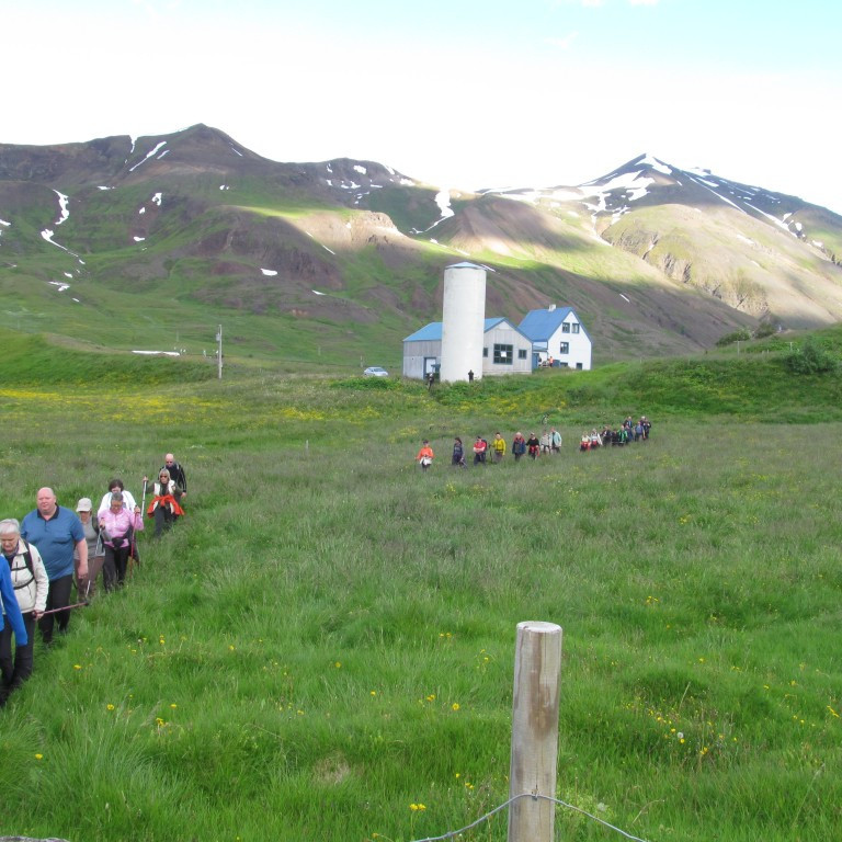 Háls. Hólafjall og Fagranesfjall í baksýn.