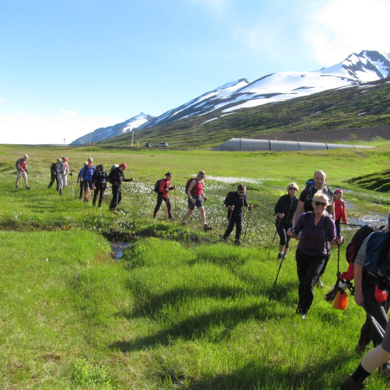 Víkurbyrða, Víkurhyrna og Steinneshnjúkur í baksýn.