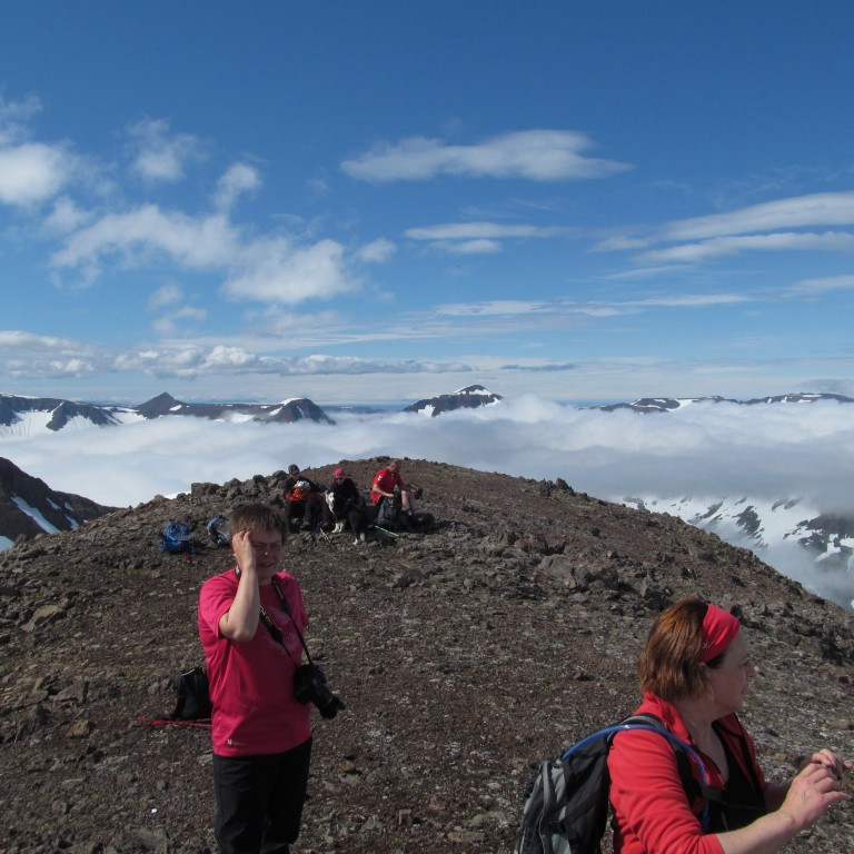Uppi var Mæjorkaveður.