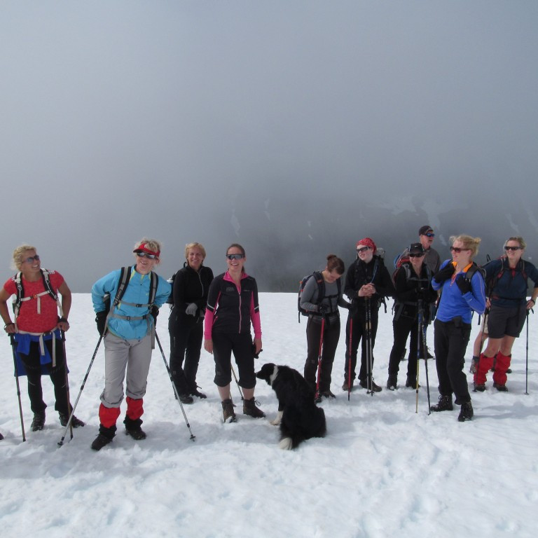 Skyldu allir koma niður?