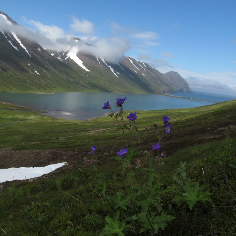 Fallegur er fjörðurinn.
