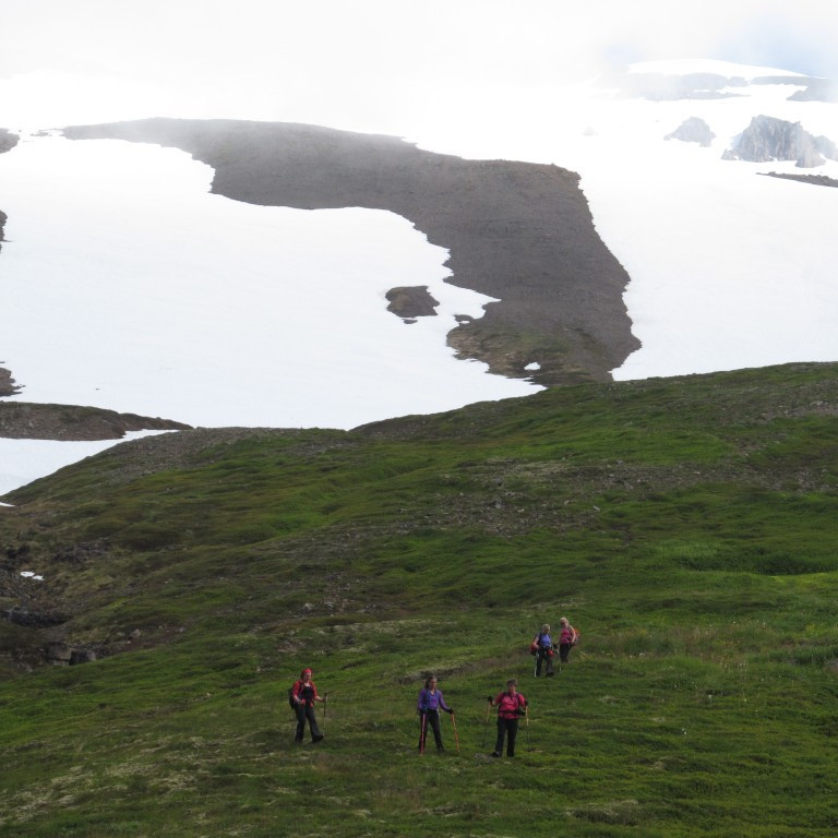 Eftirlegukindurnar að koma.