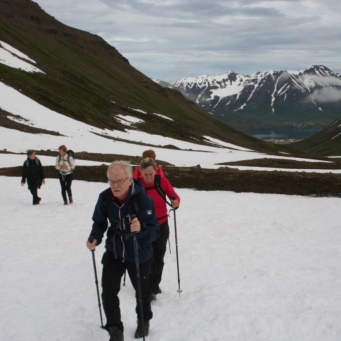 Hallgrímur Gíslason fer fyrir