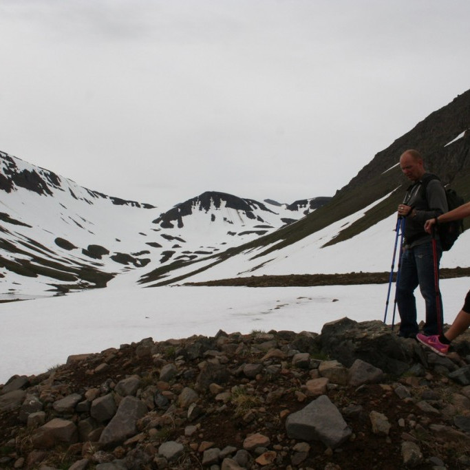 Til vinstri sést í vatnið