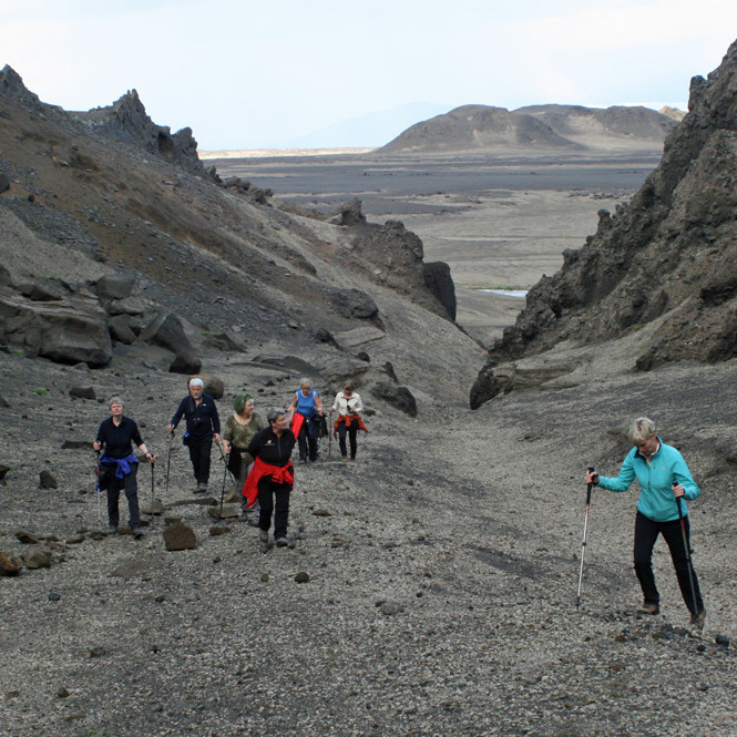 Gönguhópur FFA í Nautagili að kvöldi 26. júlí.