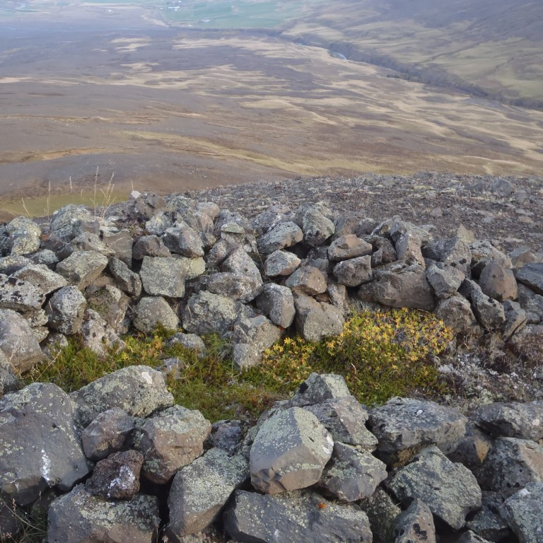 Smá byrgi á hryggnum, líklega til að sitja fyrir tófu.