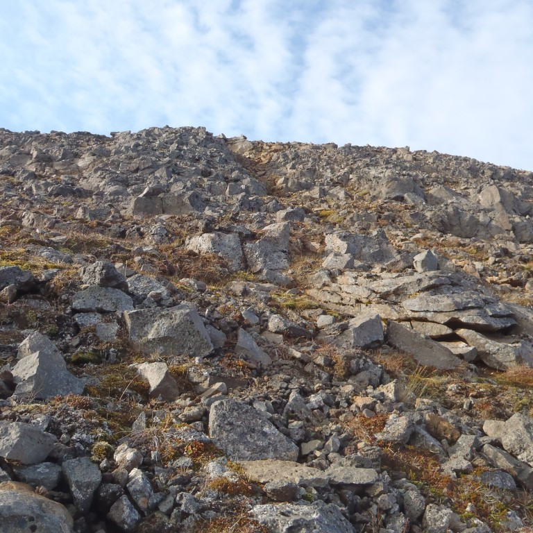 Niðurleiðin austur af fjallinu