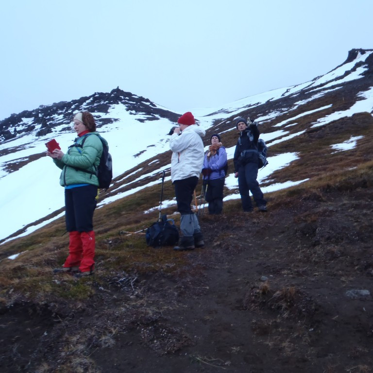 Horft niður yfir skóginn