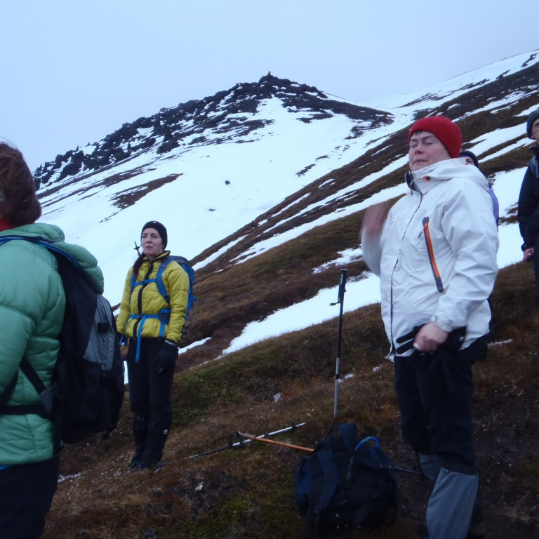 Hálshnjúk ber við loft vinstra megin