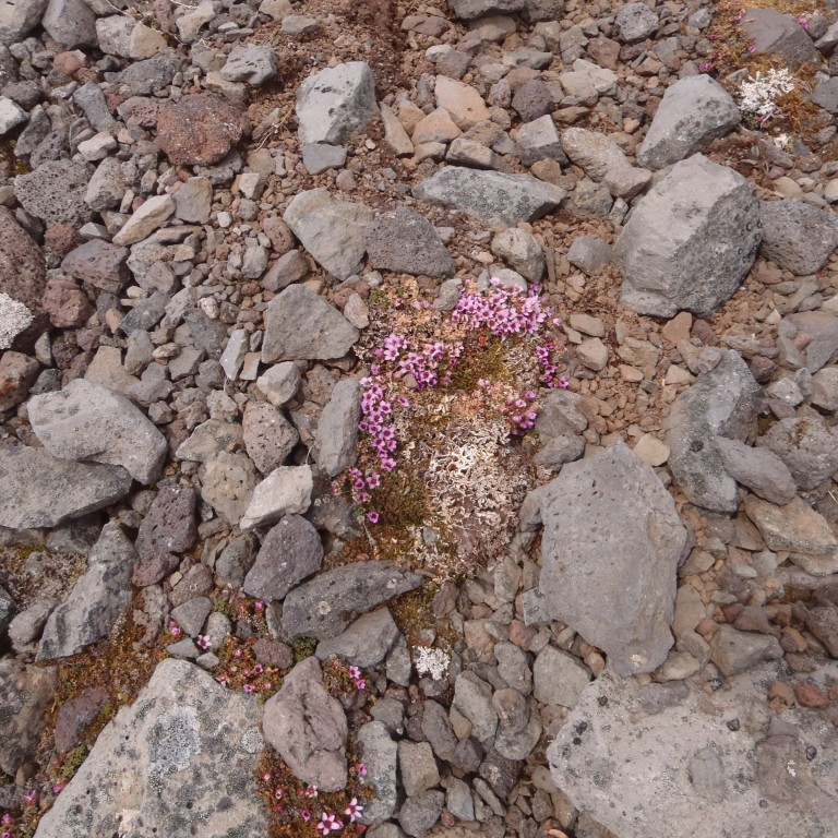 p6130019