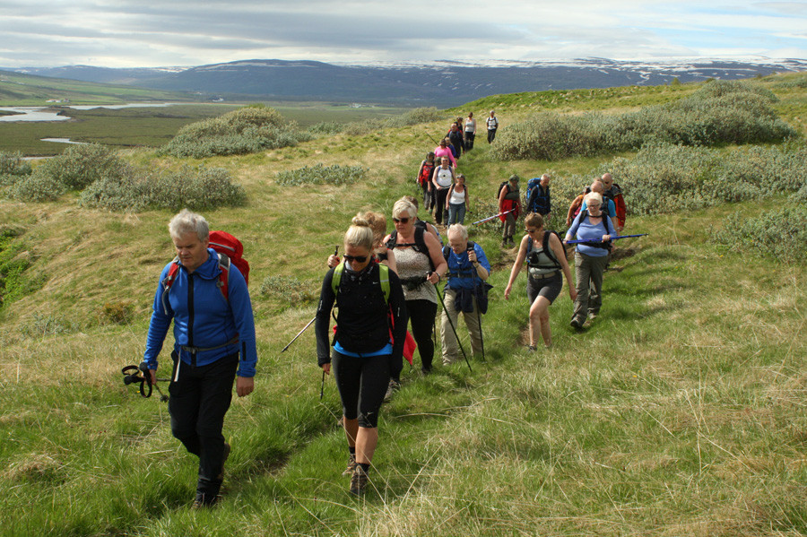 Á leið norður frá tættunum í Barnafelli