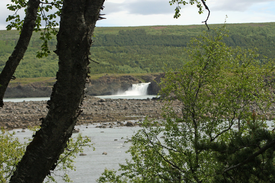 Ullarfoss í Skjálfandafljóti, horft úr Fellsskógi