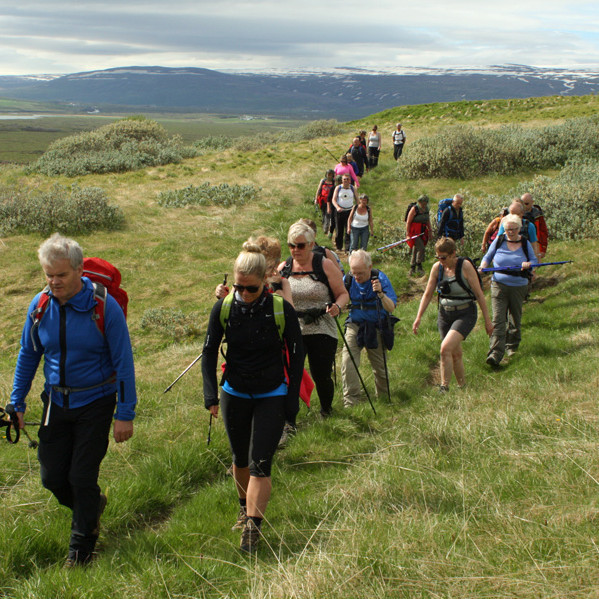 Á leið norður frá tættunum í Barnafelli