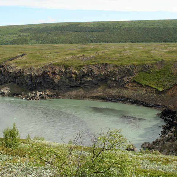 Grænhylur í Skjálfandafljóti norðvestan Þingeyjar