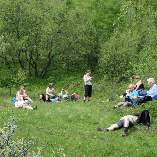 Hádegisáning á gamla samkomustaðnum efst í Fellsskógi