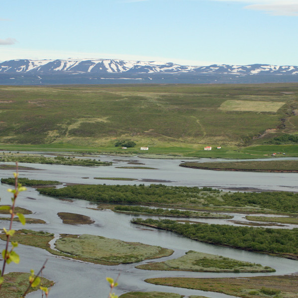 Horft úr Fellsskógi austur yfir Skjálfandafljót að Vaði