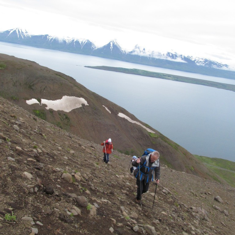 Hrísey og Látrafjöll í baksýn.