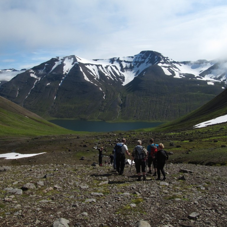 Víkurhyrna og Steinneshnjúkur í baksýn.