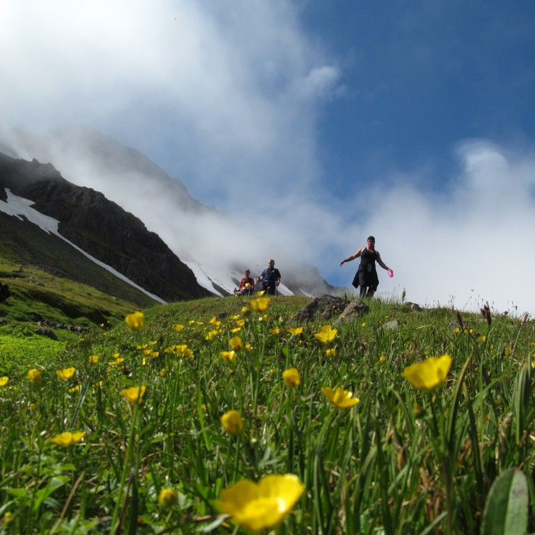 Blómlegt í dalnum.