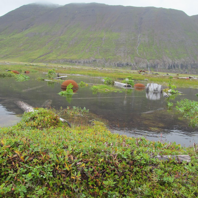 Allskonar rusl við fjörukambinn.