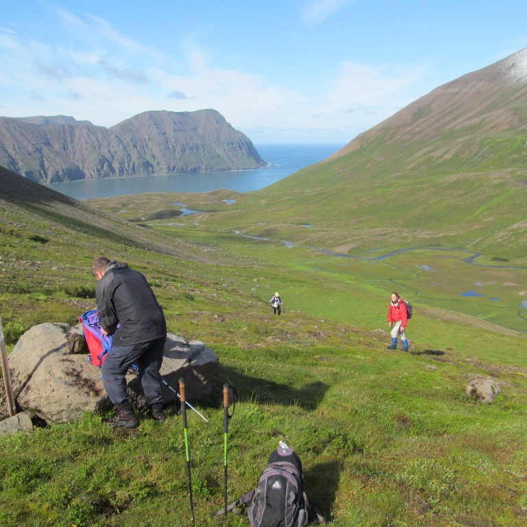 Horft niður Víkurdal Hesturinn í baksýn.