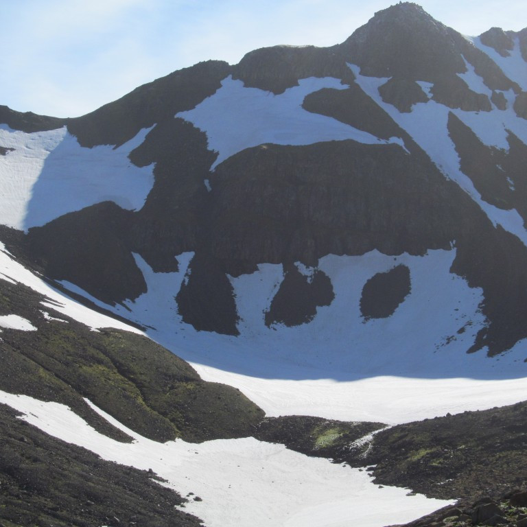 Sjáið þið hestinn á myndinni.