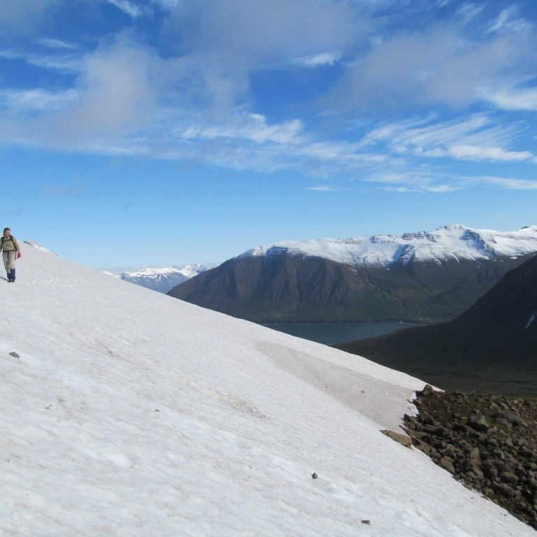 Múlakolla í baksýn.