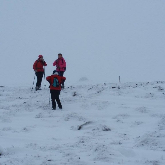 12184216_883498128393876_4734643620429570736_o