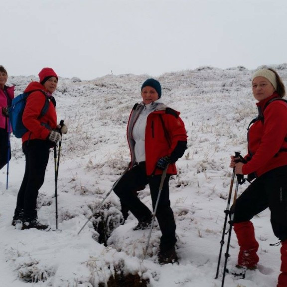 12240980_883498075060548_4440834686923273797_o