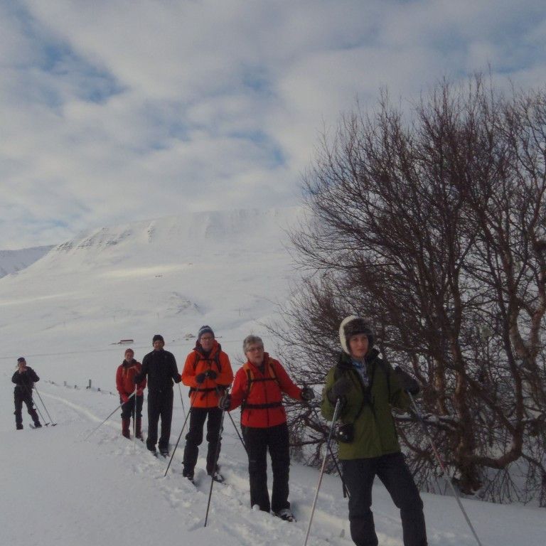 Trjágróðurinn er koma upp um alla ásana eftir að beit hætti.