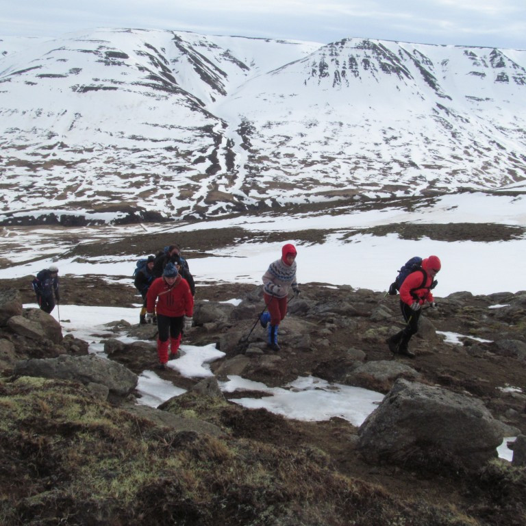 Fjöllinn austan Garðsárdals í baksýn.