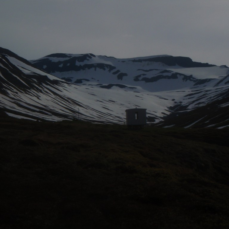 Kofinn á Böggvisstaðadal