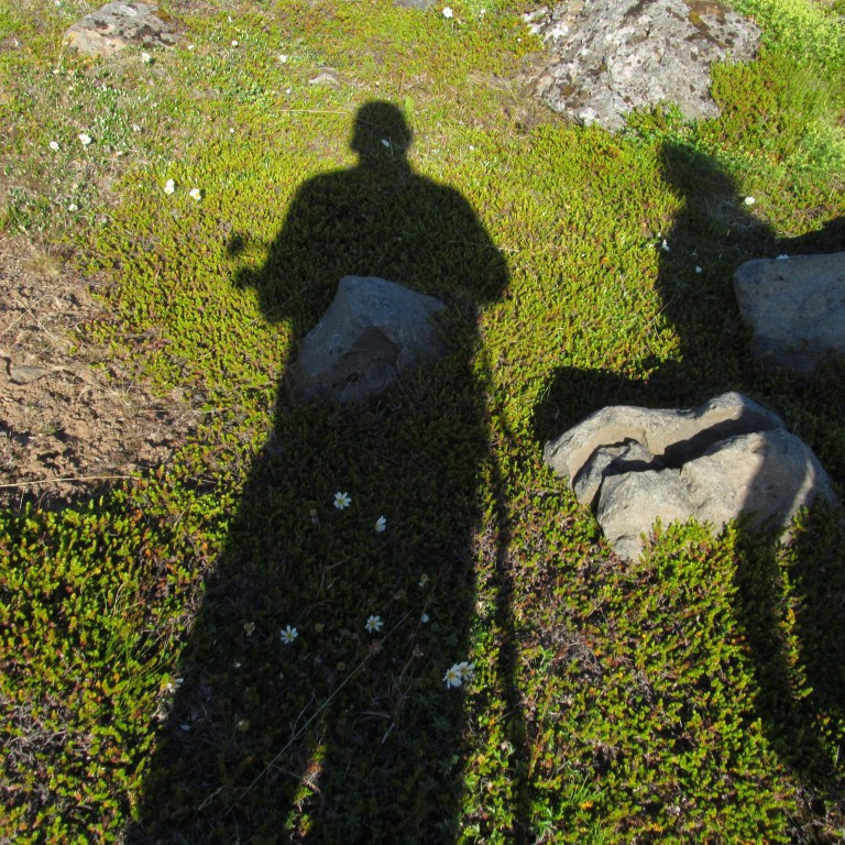 Skuggalegir þessir.