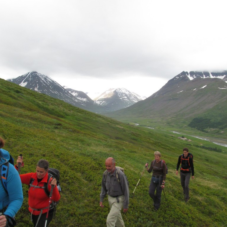 Horft inn Skíðadal.