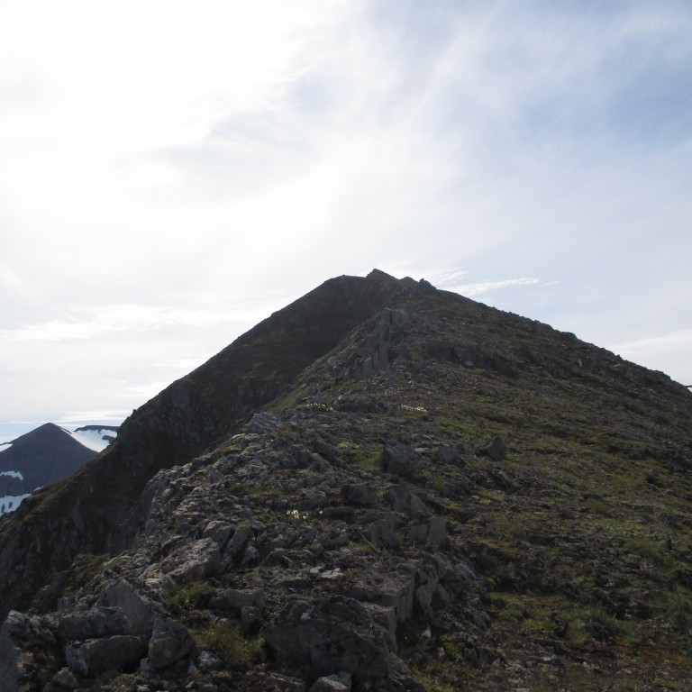 Síðasti spölurinn upp, sér í Stórugjá fremst á Hólshyrnu.